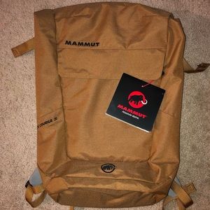 Mammut xeron courier 20 backpack